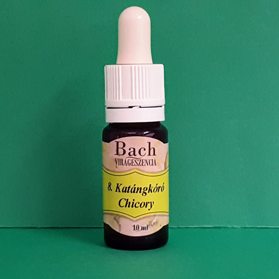 Bach Katángkoró Chicory 8. virágeszencia